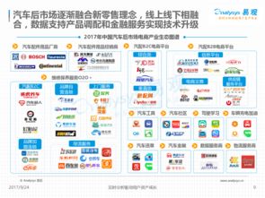 2017上半年中国汽车后市场电商专题分析 互联网数据透视行业变革
