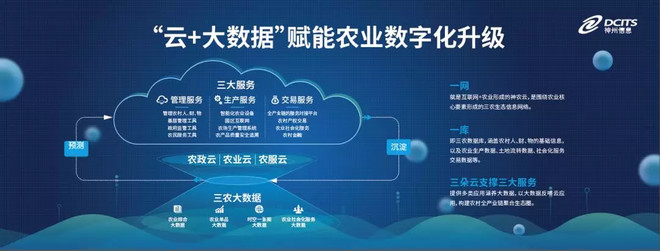 证券时报丨神州信息郭为 不是做互联网，而是用大数据赋能农业升级